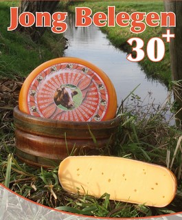 Gouda 30+ Gouda 30+