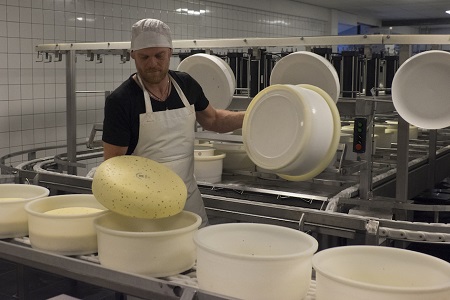 Fromage Terschellinger Fromage Terschellinger