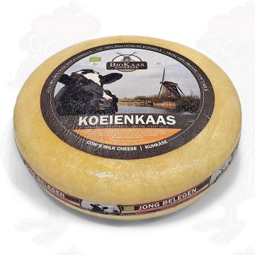 Fromage jeune affiné biologique | Fromage entier 14 kilo