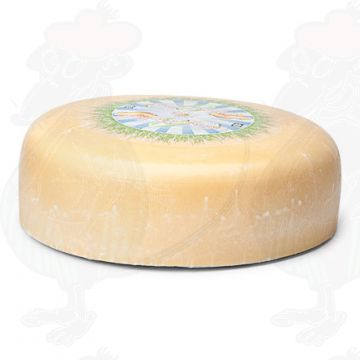 Fromage Jeune Affiné Biologique | Qualité Supplémentaire | Fromage entier 7,5 kilos Fromage Jeune Affiné Biologique | Qualité Supplémentaire | Fromage entier 7,5 kilos