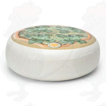 Fromage de chèvre Ortie | Qualité Supplémentaire | Fromage entier 4,5 kilos