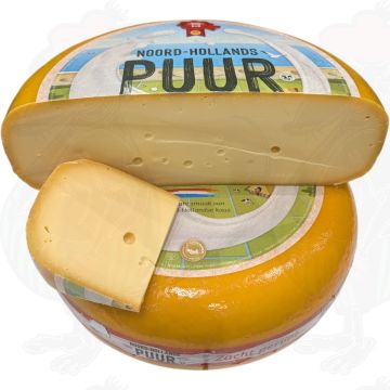 Hollande du Nord Gouda jeune mûri