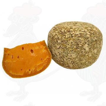 Mimolette - Boule de Lille | 18-24 mois