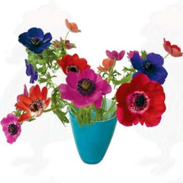 Anemone Blue Window Decal - Flat Flower - 30 x 37 cm