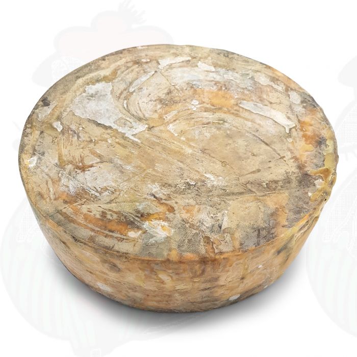 Rouge Leicestershire vieilli | Fromage entier 3,6 kilos main product photo