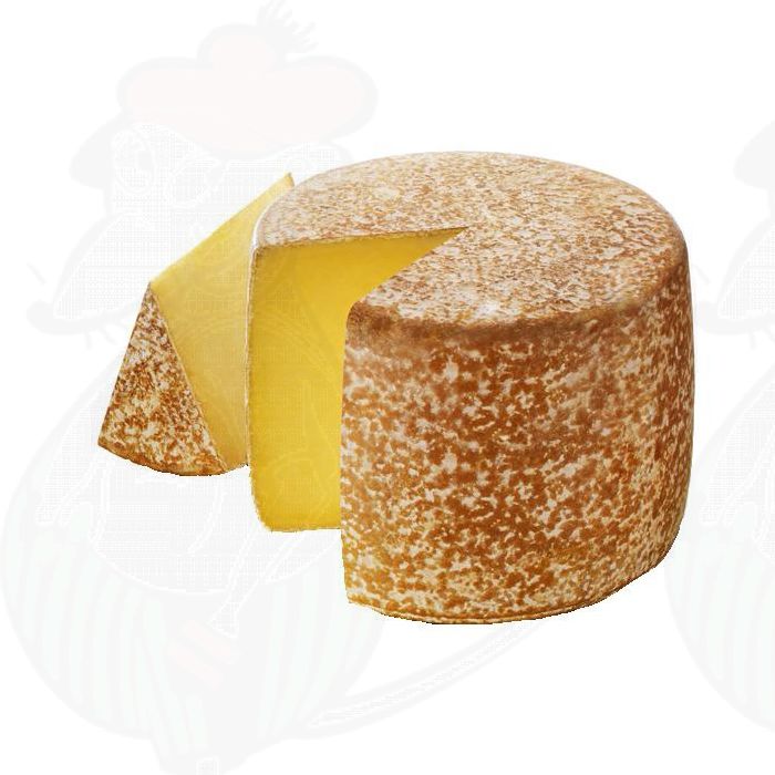 Fromage Cantal AOP / AOC main product photo