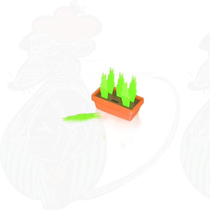 Partypicks set Grass main product photo