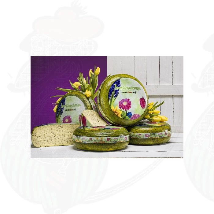 Fromage mélange printanier main product photo