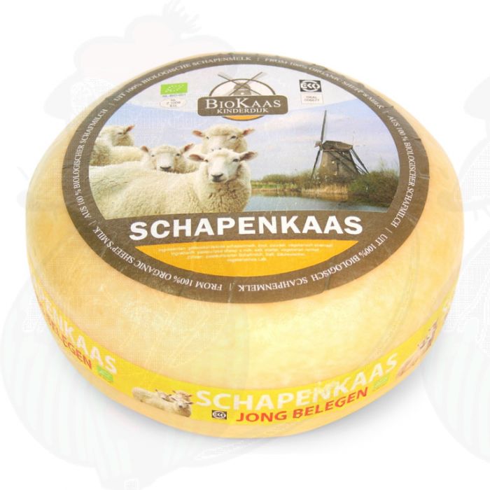 Fromage de brebis : variétés, saveurs et usages en cuisine