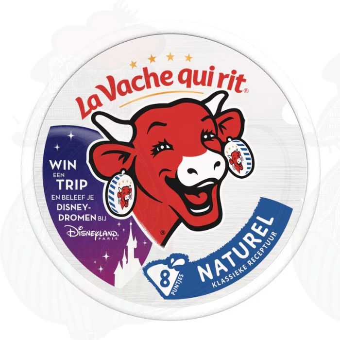 Fromage vegan : le guide des alternatives végétales