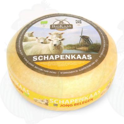 Fromage de brebis : variétés, saveurs et usages en cuisine